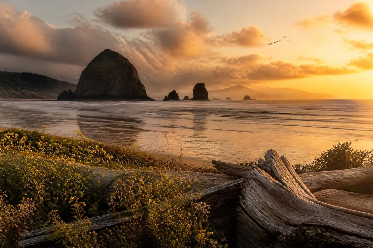 Oregon coast at sunset with sea stacks and driftwood